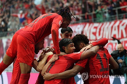 보니 이미지