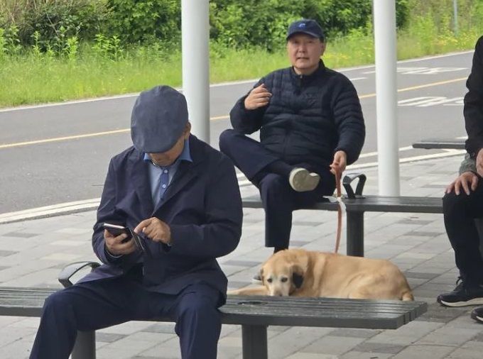 한가로이 이미지