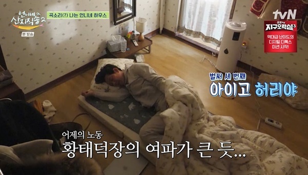언니네 이미지