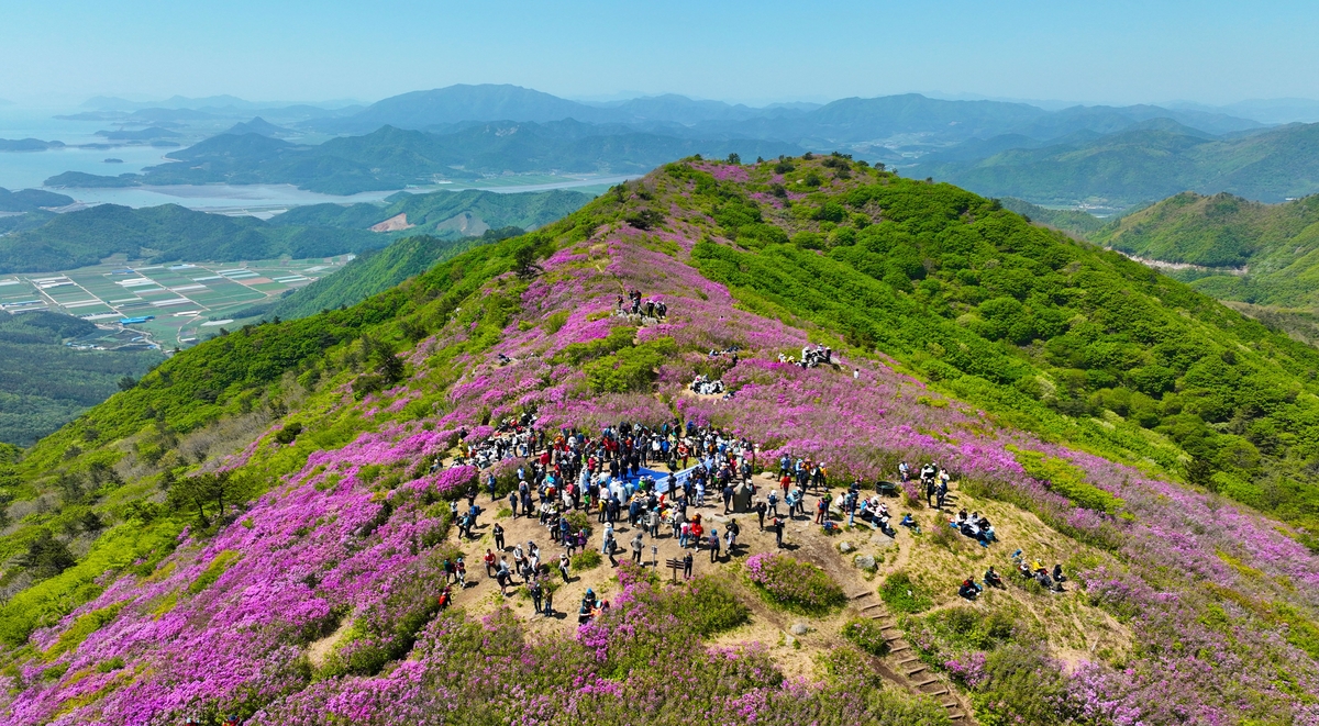 보성 이미지