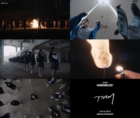 에스글로벌 이미지