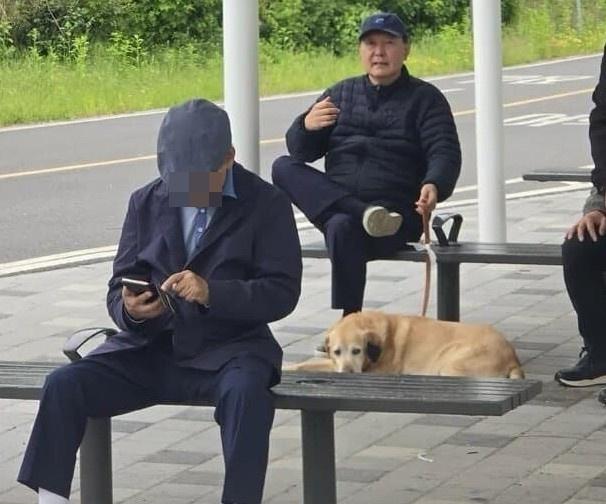 한가로이 이미지