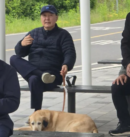 한가로이 이미지
