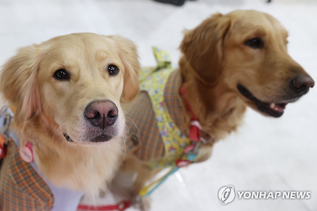 대한반려동물협회 이미지