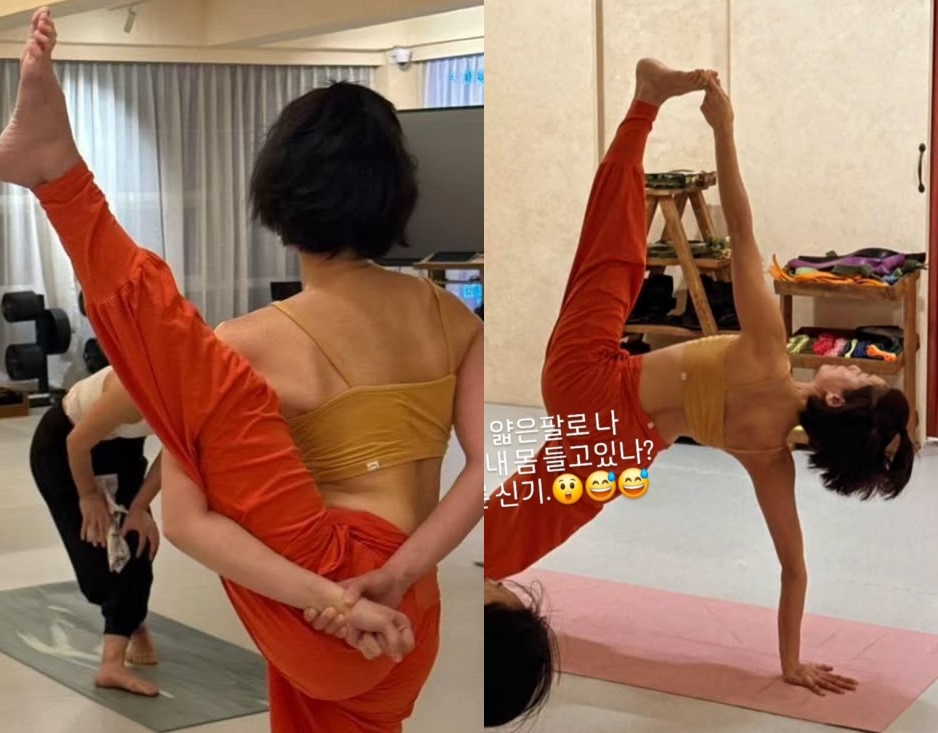 팔로인 이미지