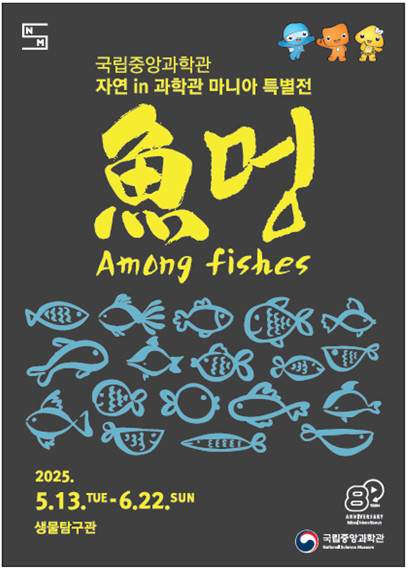 중앙 이미지