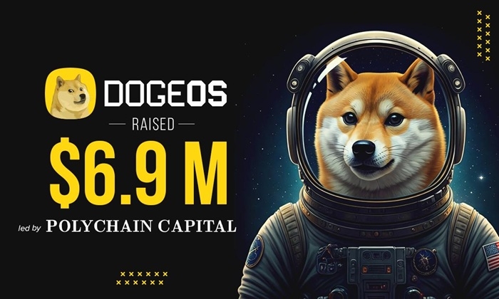 도지 이미지