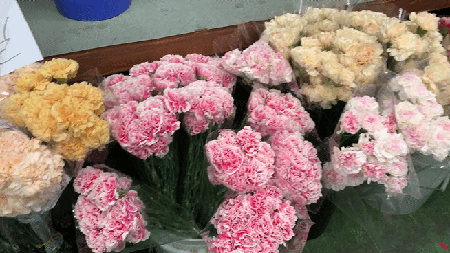 고속터미널역 근처 꽃 도매시장 카네이션/영상=유지희 기자