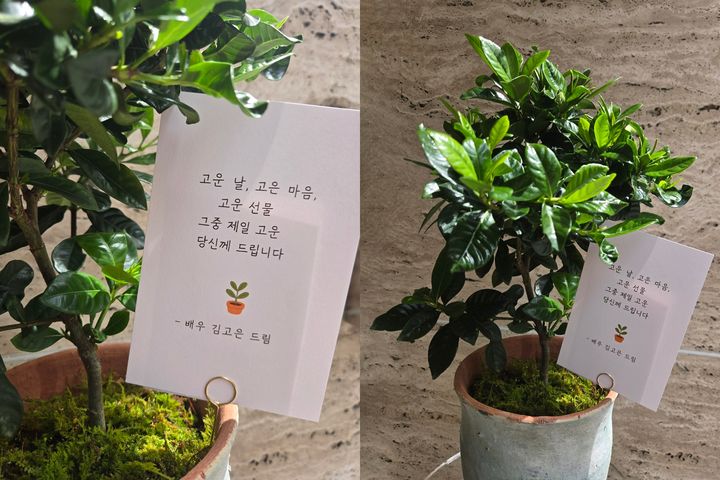 제일문구드림 이미지