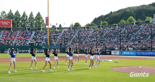 롯데시리즈 이미지