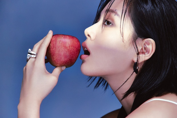 비비 이미지
