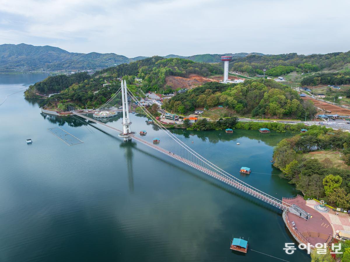 충남땅콩 이미지