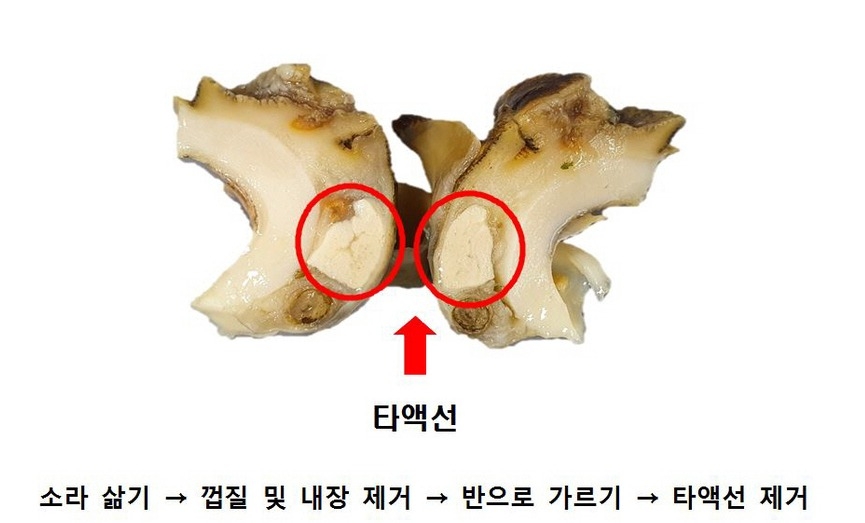 소라네 이미지