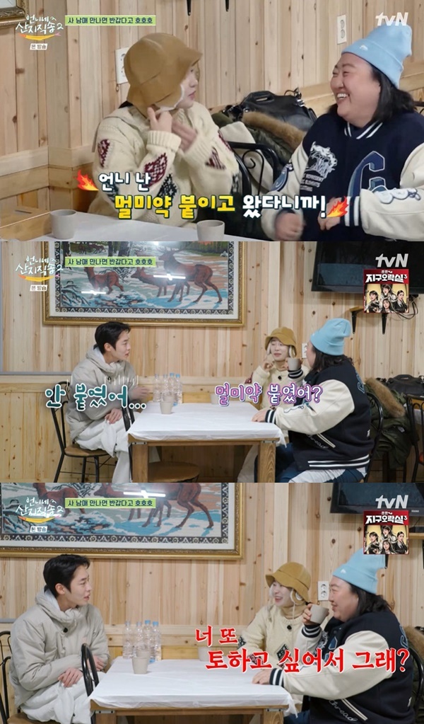 언니네 이미지