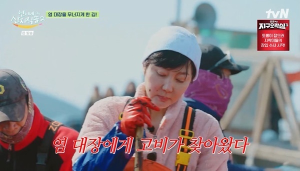 언니네 이미지
