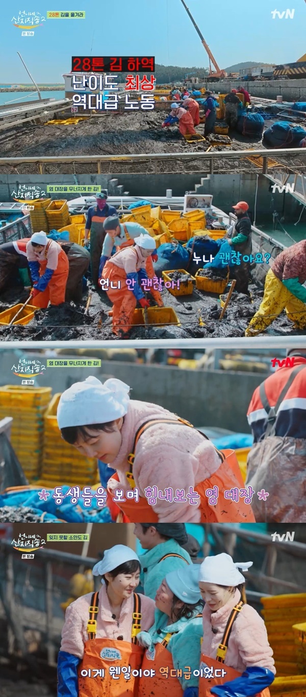 언니네 이미지