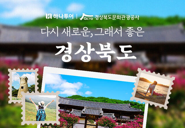 더하나투어 이미지