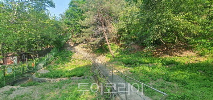 숲 이미지