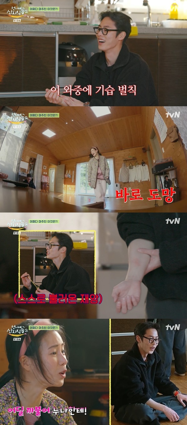 언니네 이미지