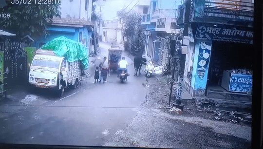 인도 우타라칸드 주 리시케시 지역에서 길을 가던 소가 오토바이를 몰고 있다. 엑스(X) 캡처