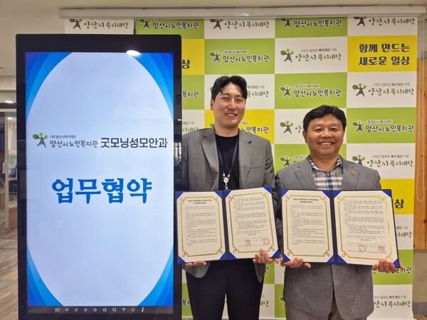 성모안과 이미지