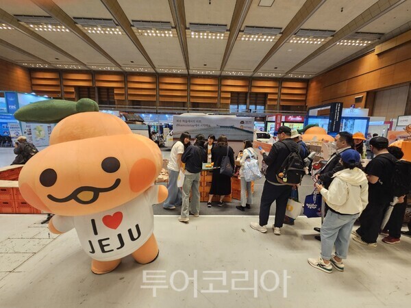 로컬트래블코리아 이미지