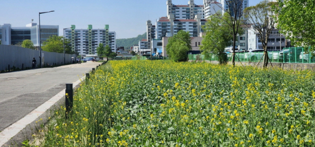 진주 이미지