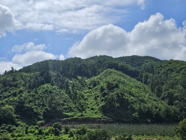 영주 이미지