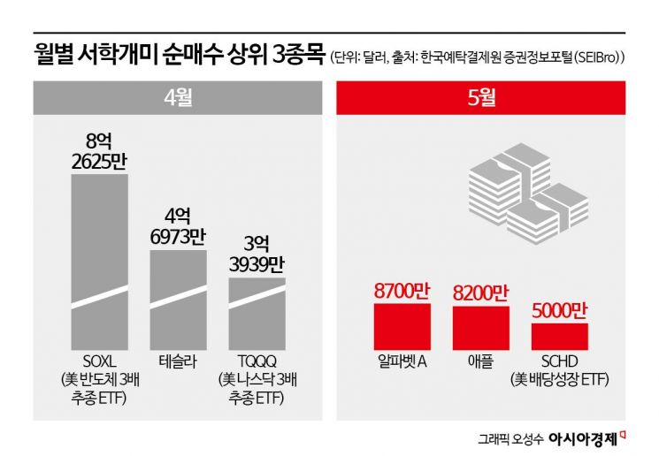 미장 이미지
