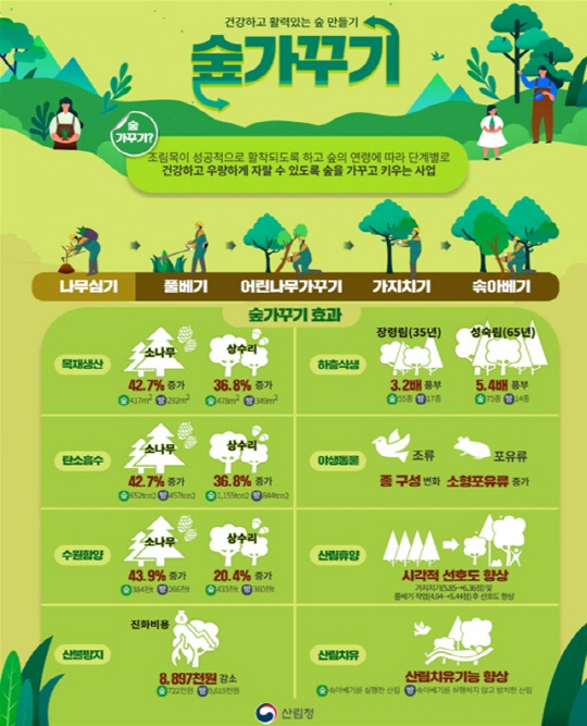 건강의숲 이미지