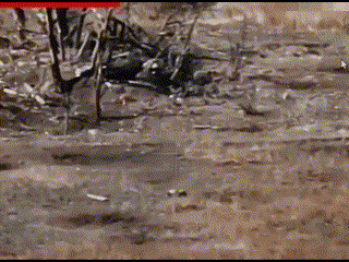 러시아의 호버보드형 자폭 드론이 폭발하는 모습. @wartranslated 엑스 캡처