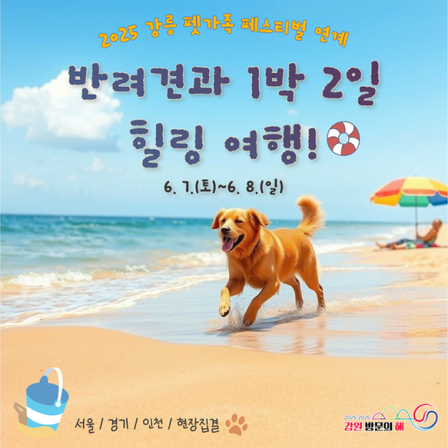 힐링강릉 이미지