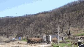 동물구조 연합단체 루시의친구들이 산불 피해가 컸던 안동 신흥리의 주민 심규호씨를 만나 마당개의 사육환경을 개선해주고 있다. 전병준 기자