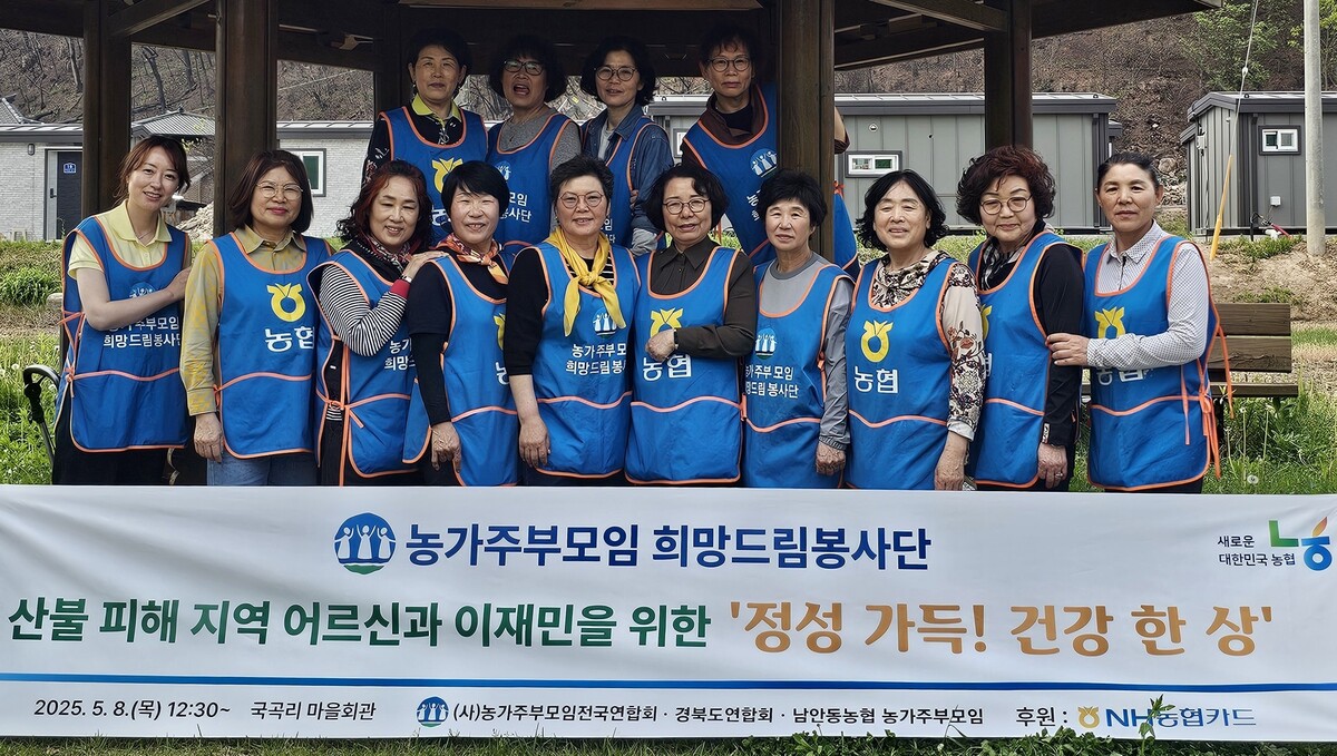 주부 이미지