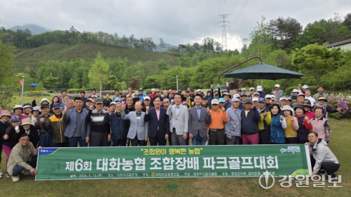 강원감자농협조합공동사업법인 이미지