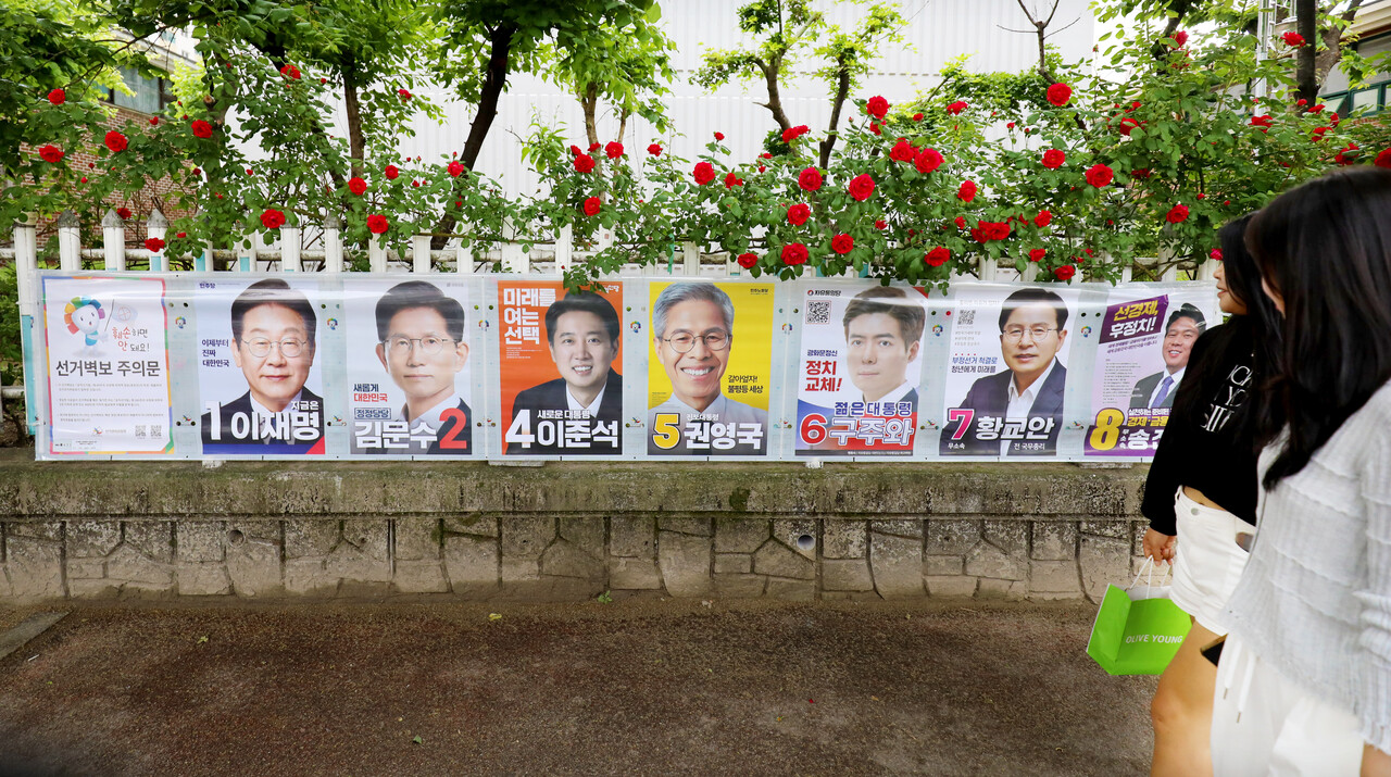 장미꽃사이로 이미지