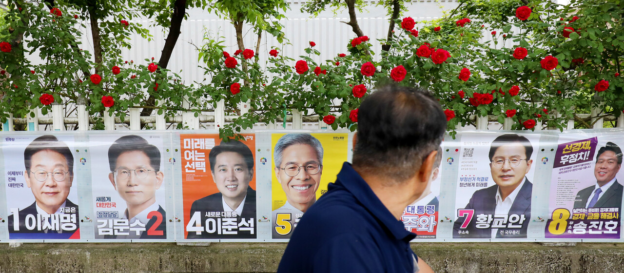 장미꽃사이로 이미지