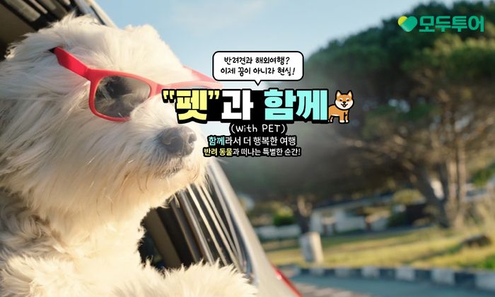 (주)메가투어 이미지