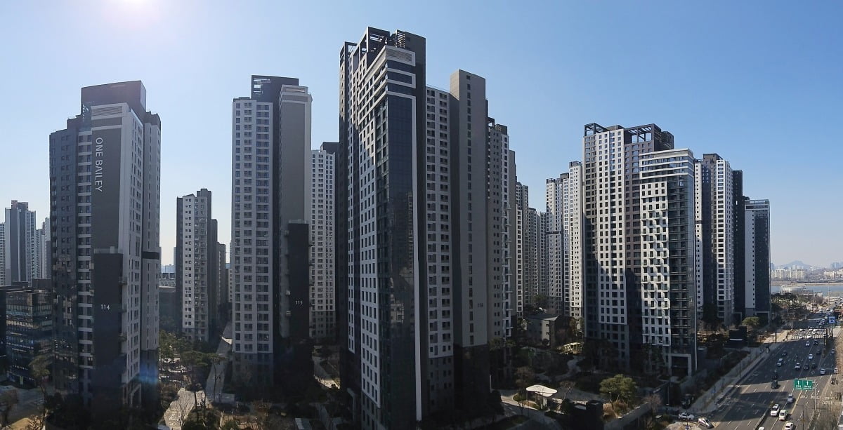 베일리 이미지