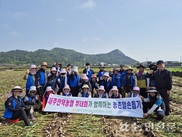 안덕농업협동조합 이미지