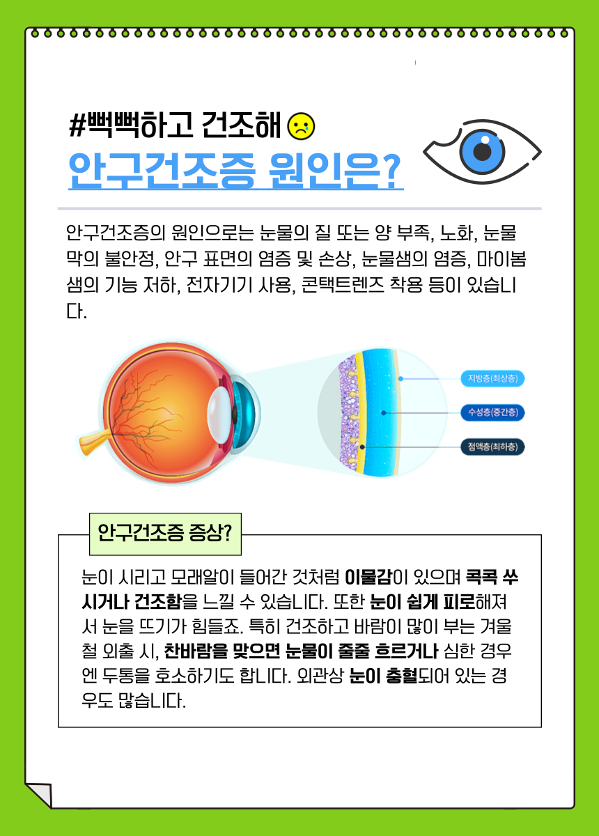 안구건조증, 아직도 인공눈물 넣어? 루테인과 오메가3로 눈 건조 해결 가능할까? | 원데이원