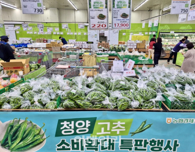 청양농협하나로마트 이미지