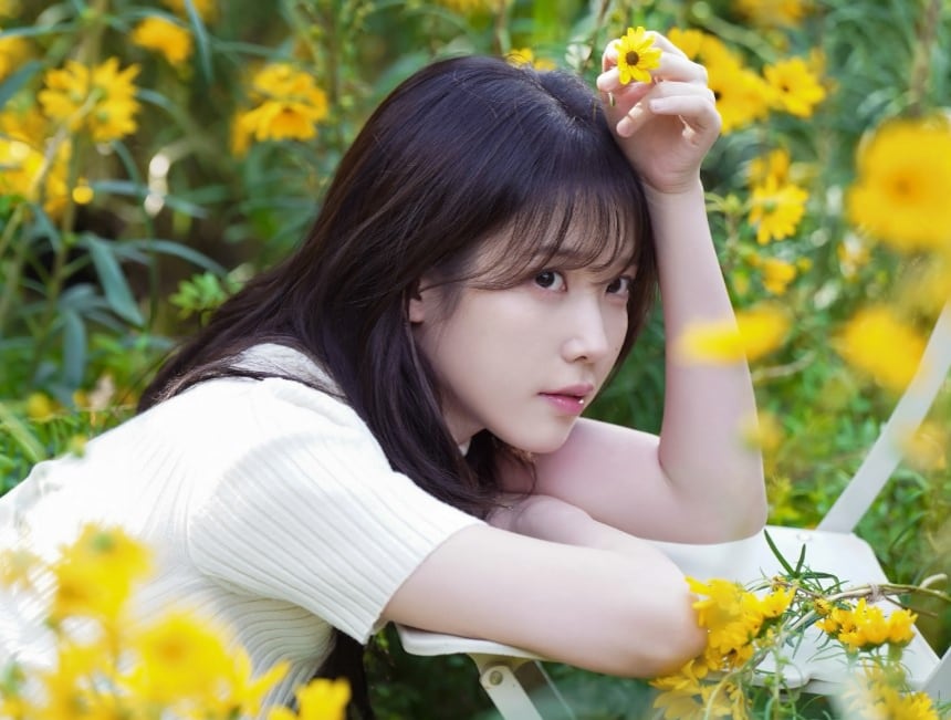이담미디어 이미지
