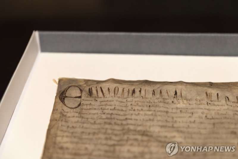 진품 이미지