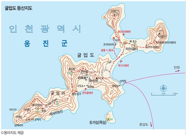 숙이네민박 이미지