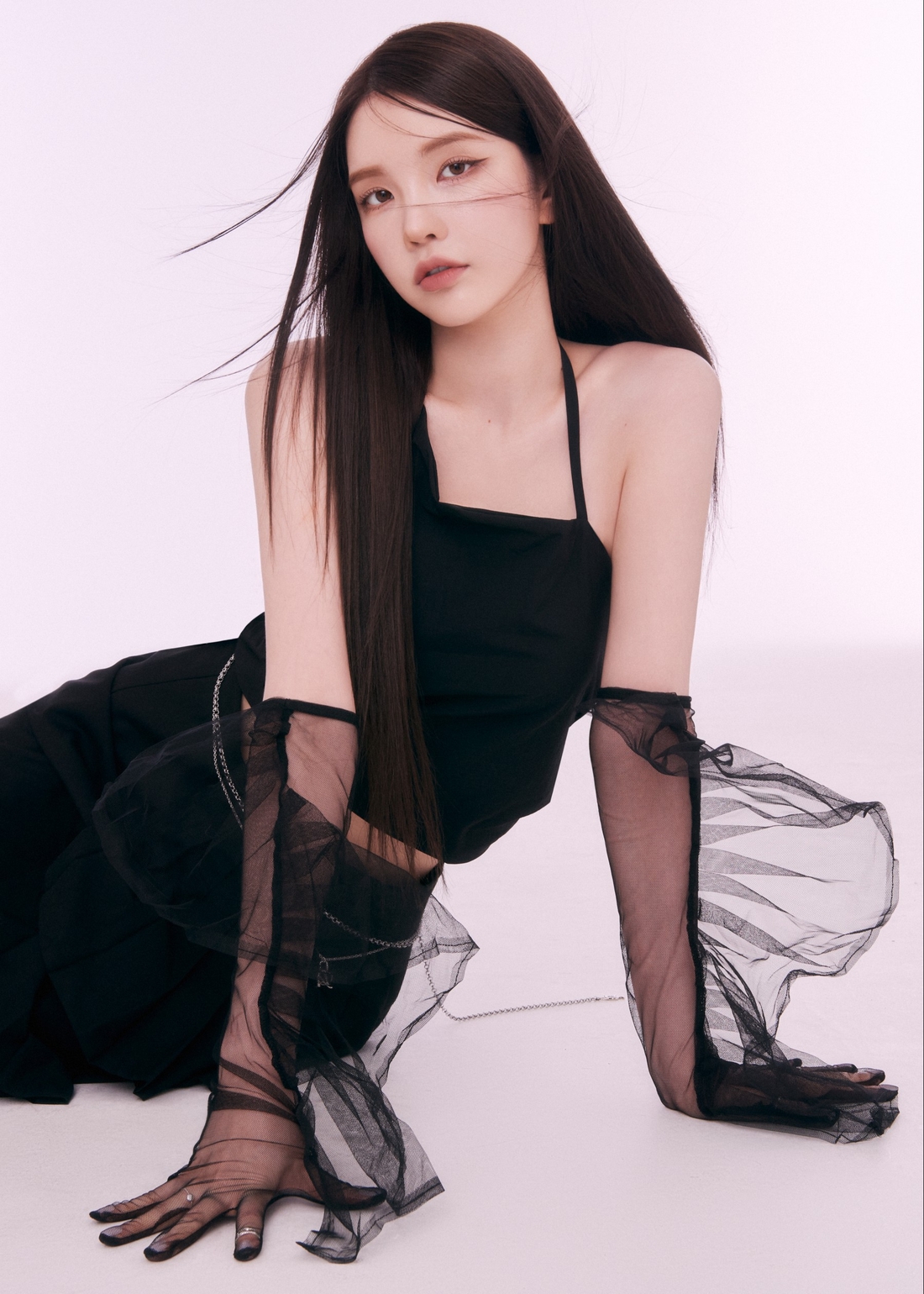 수스 이미지