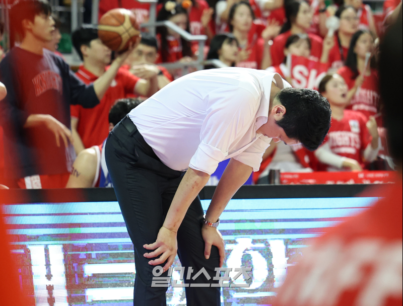 마르네 이미지