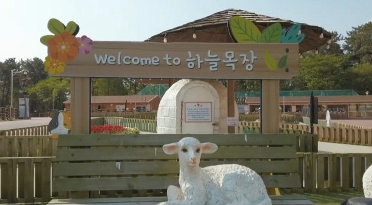 삼정야채 이미지