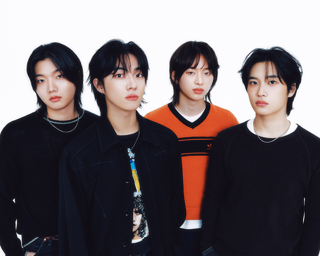 포니 이미지