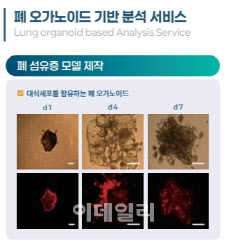 케이더블유 이미지
